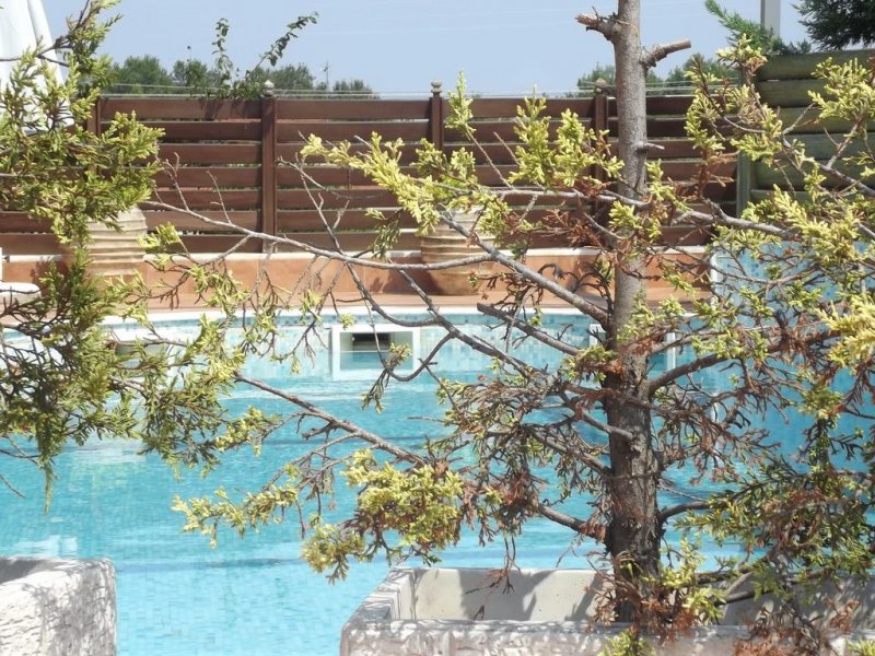 Hotel Metropole - Снимка 8