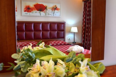 Ariti Grand Hotel - Снимка 3