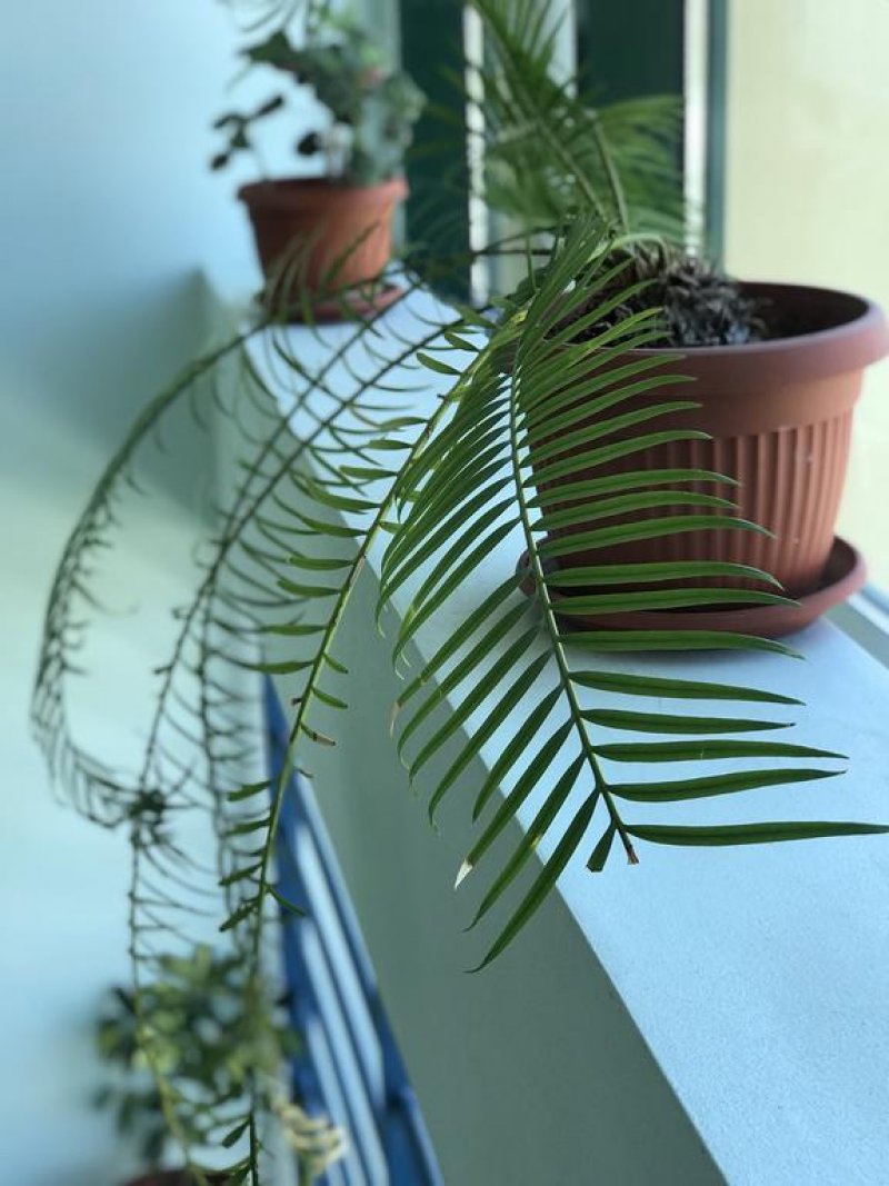 Хотел Ривиера - Снимка 8