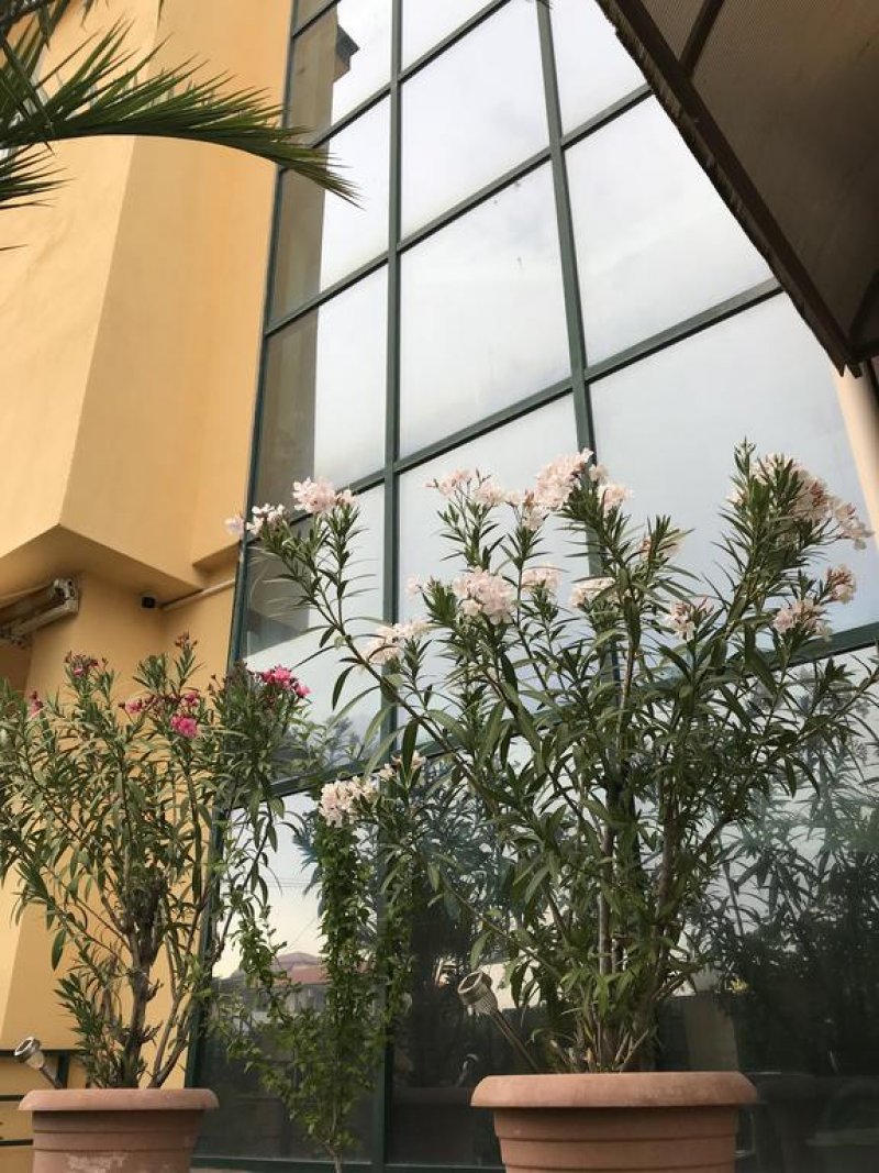 Хотел Ривиера - Снимка 11