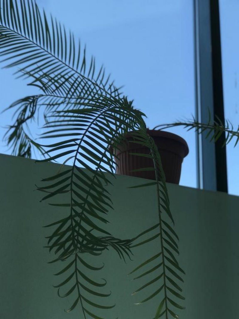 Хотел Ривиера - Снимка 8