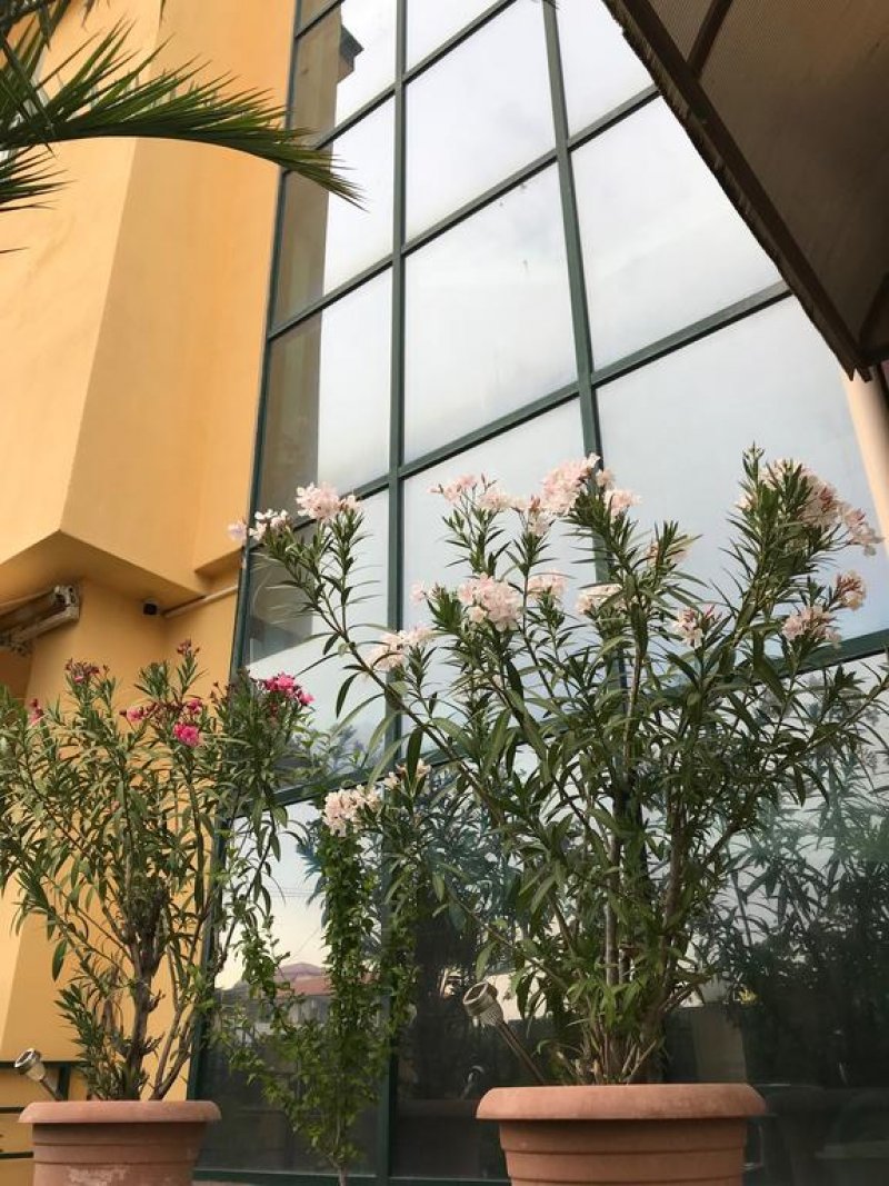 Хотел Ривиера - Снимка 3