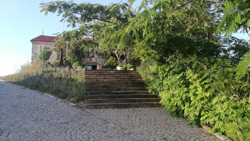 Хотел Мимоза - Снимка 8