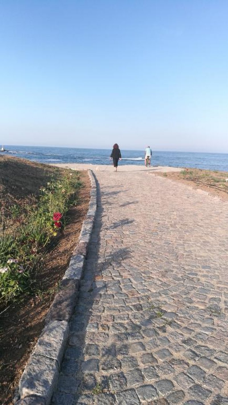 Хотел Мимоза - Снимка 2