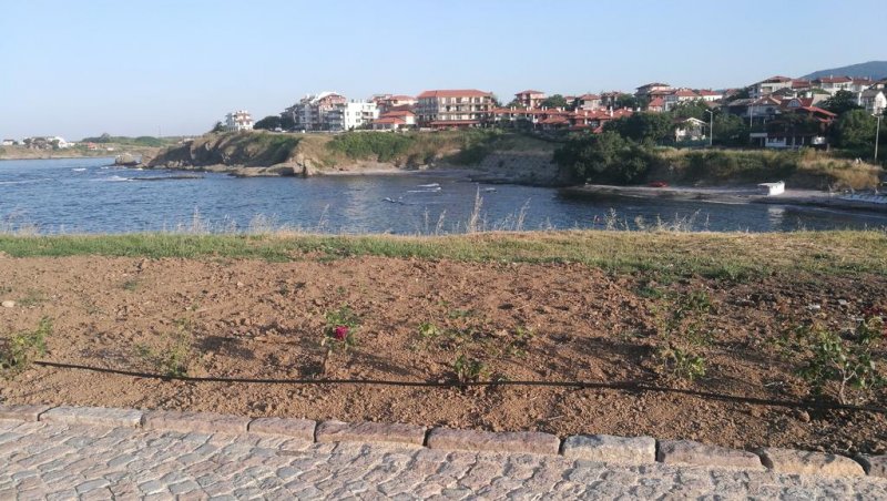 Хотел Мимоза - Снимка 8