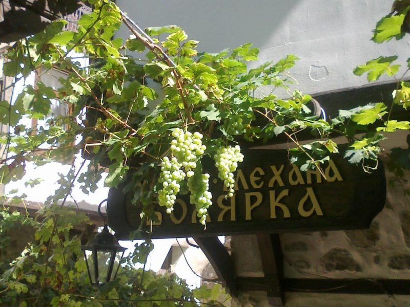 Хотел Болярка - Снимка 11