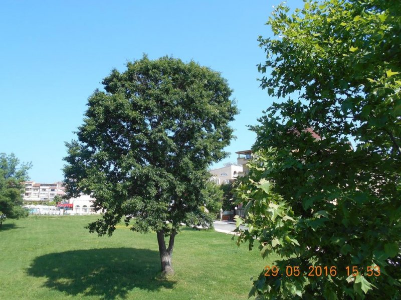 Семеен хотел Вивас - Снимка 8