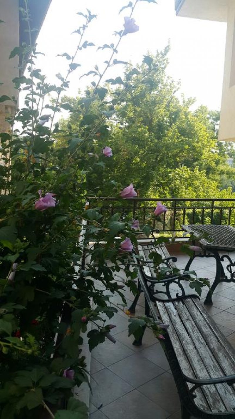 Хотел Боляри - Снимка 3