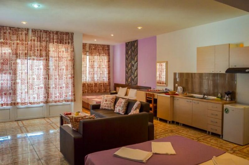 Ellas Hotel - Снимка 8