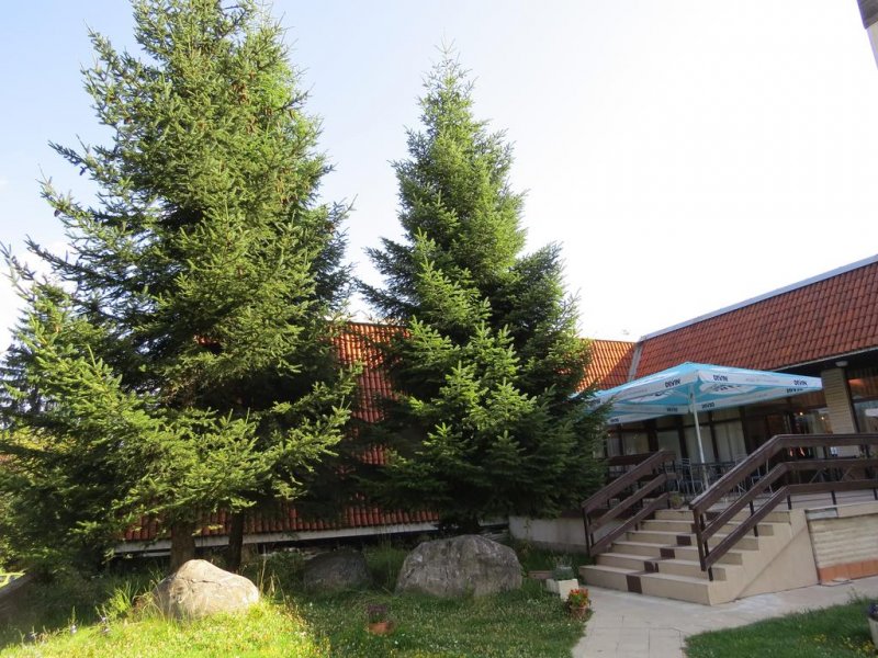 Хотел Ела - Снимка 4