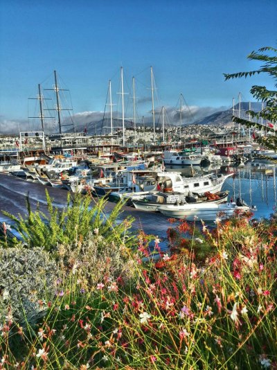 Hotel Baba - Снимка 6