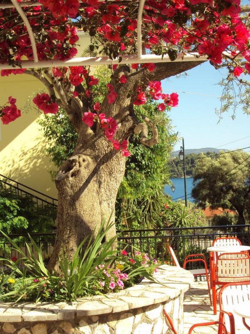 Hotel Nostos - Снимка 7