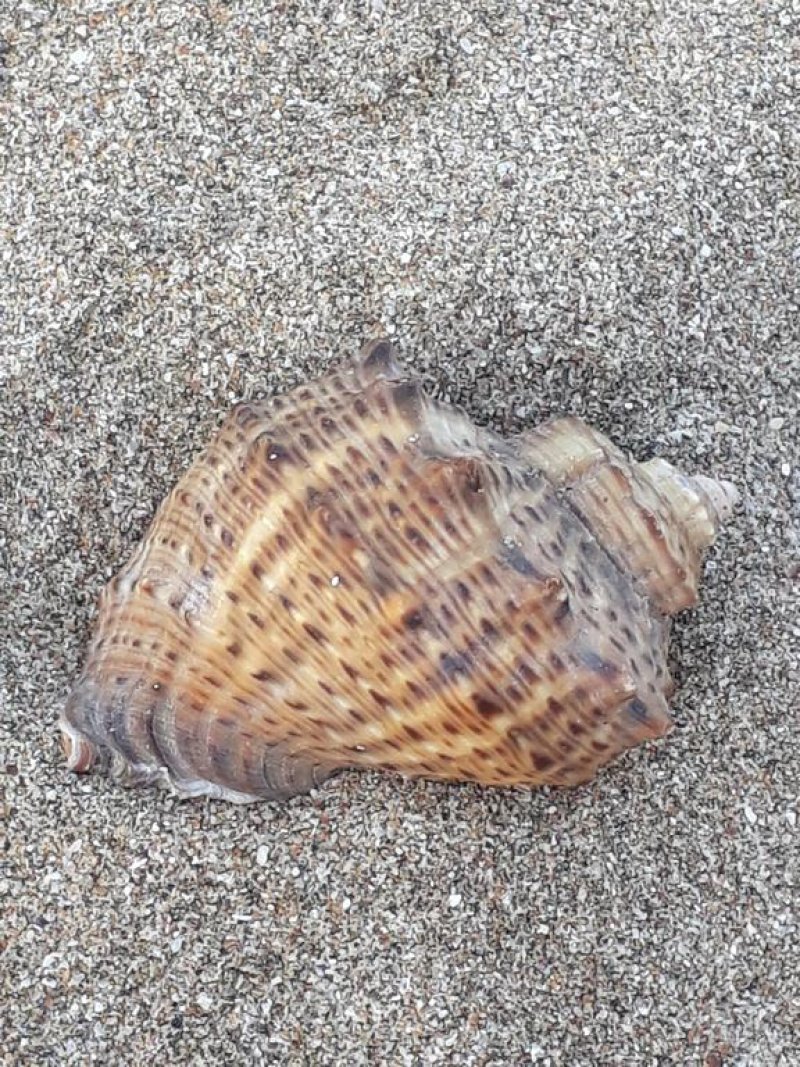 Хотел Стил Плейс - Снимка 10