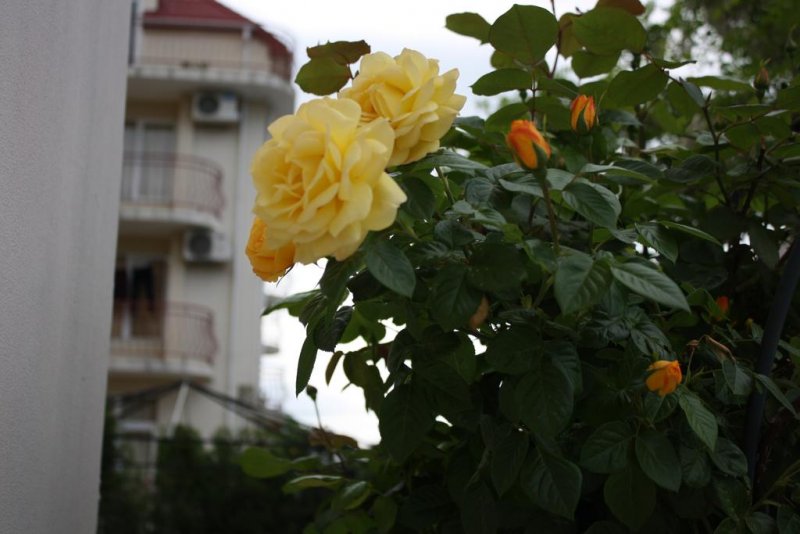 Хотел Стил Плейс - Снимка 7