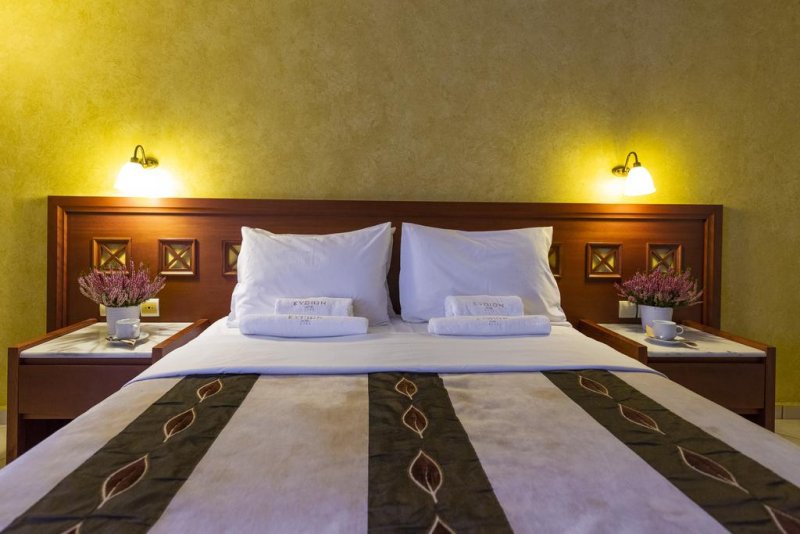 Evdion Hotel - Снимка 2