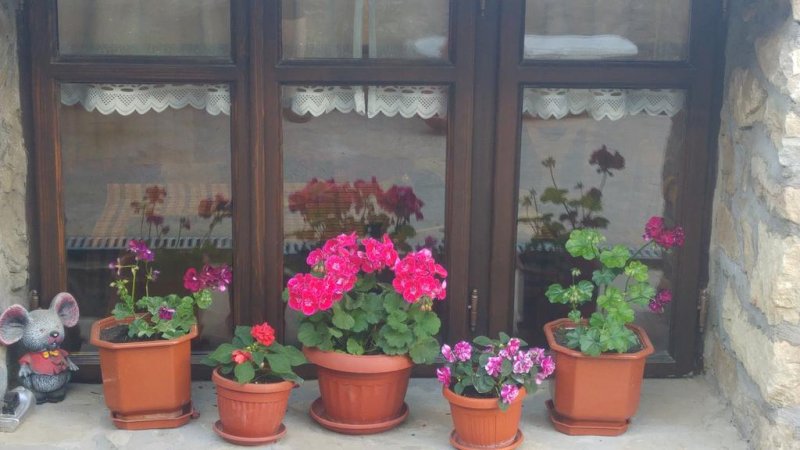 Къща за гости Стръмена - Снимка 4