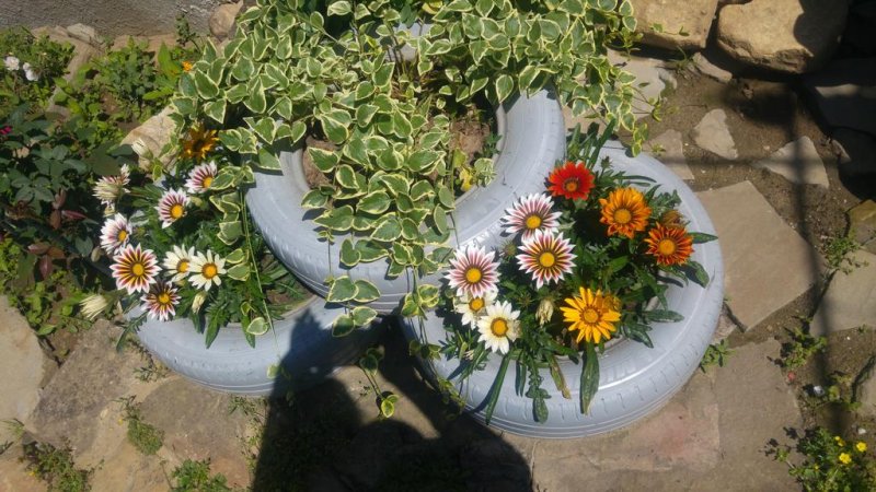 Къща за гости Стръмена - Снимка 1