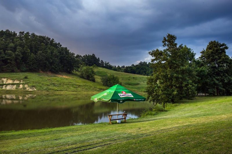 Комплекс Язовир Палици - Снимка 10