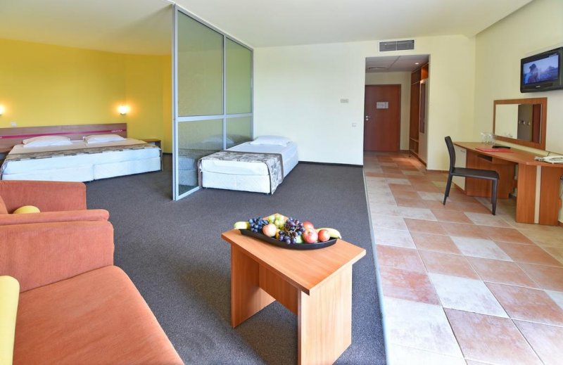 Хотел Мимоза - Снимка 7