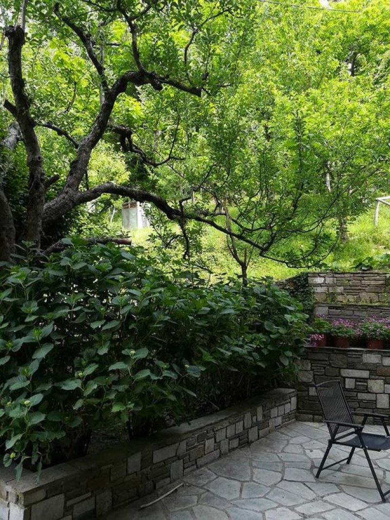 Filoxenia - Снимка 1