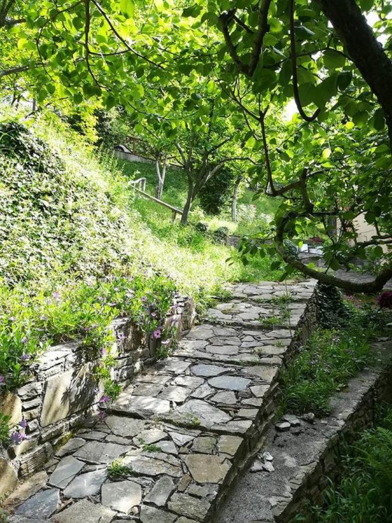 Filoxenia - Снимка 8