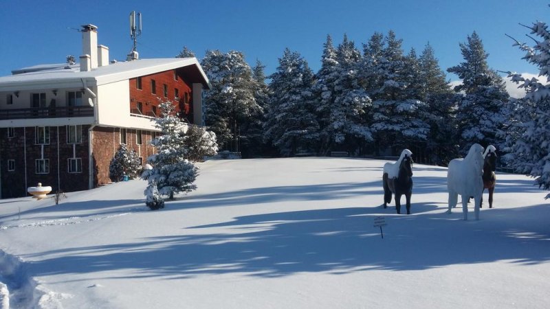 Хотел Луч - Снимка 9