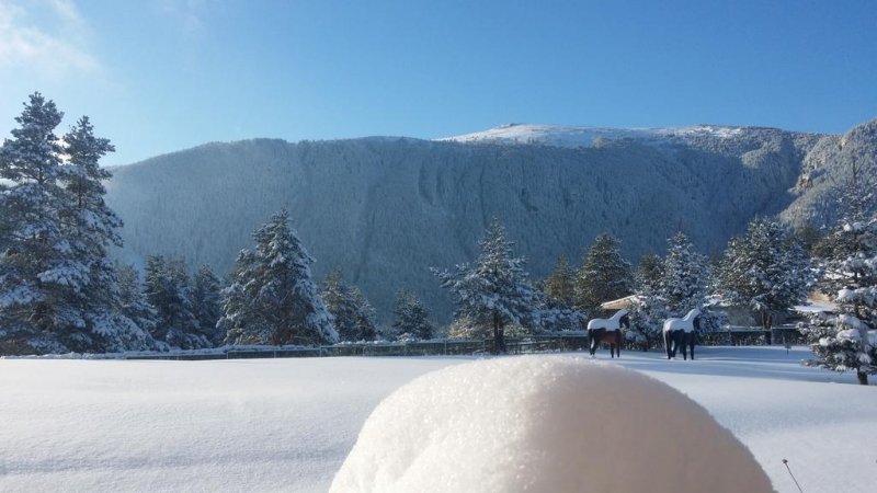 Хотел Луч - Снимка 4