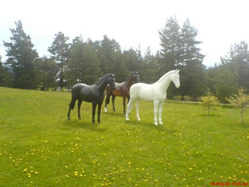 Хотел Луч - Снимка 3