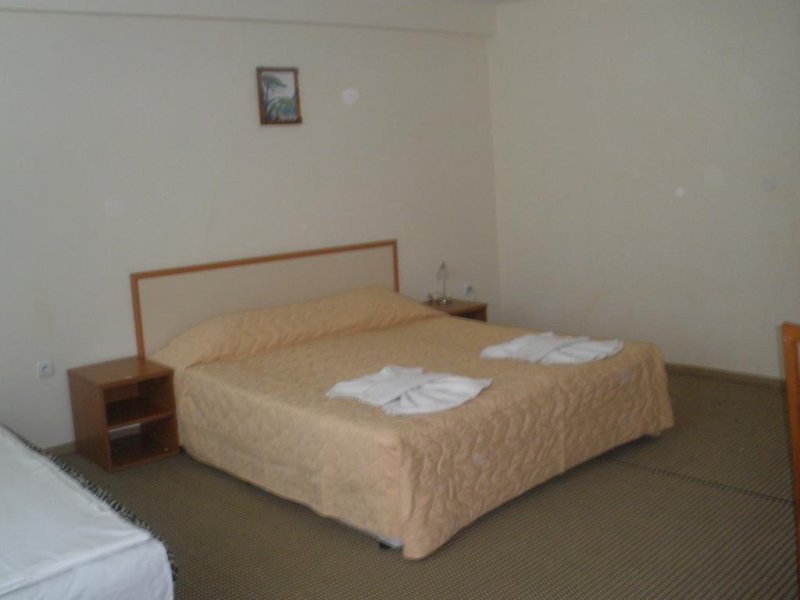 Хотел Атос - Снимка 5