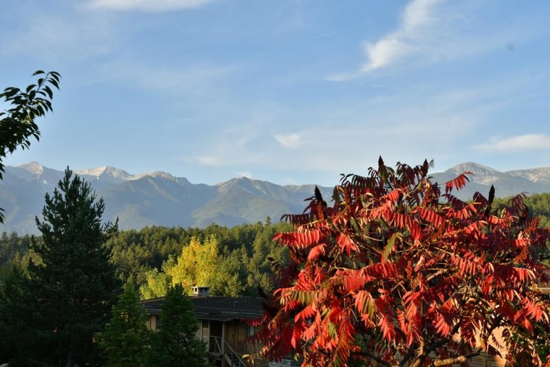 СПА Хотел Катарино - Снимка 5