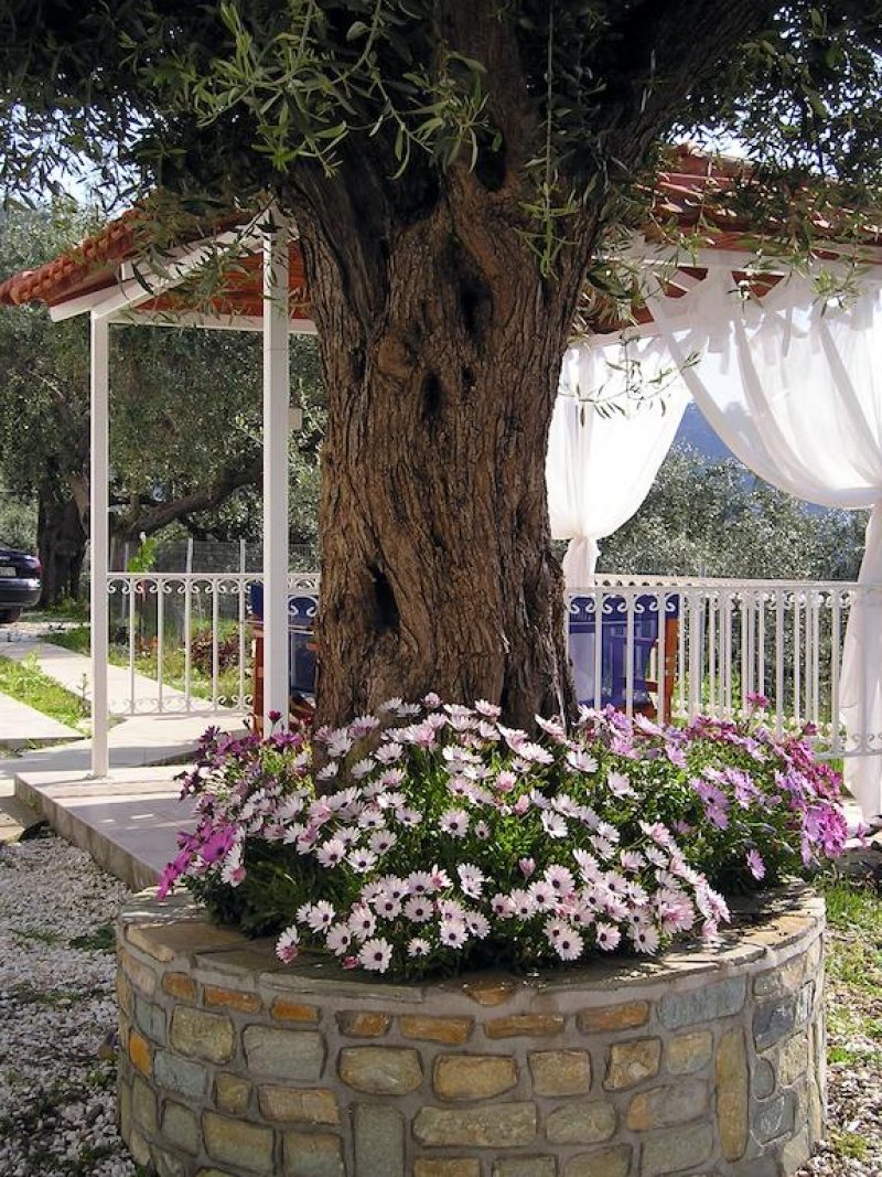 Golden Beach Inn - Снимка 10