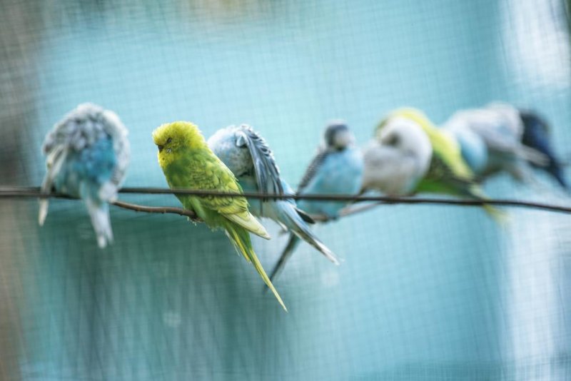 Armas Green Fugla Beach - Снимка 9