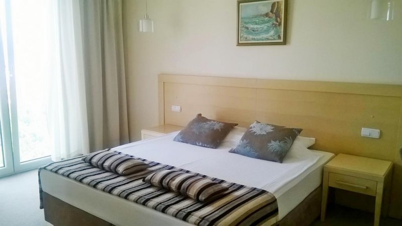 Hotel Aleksandar - Снимка 3