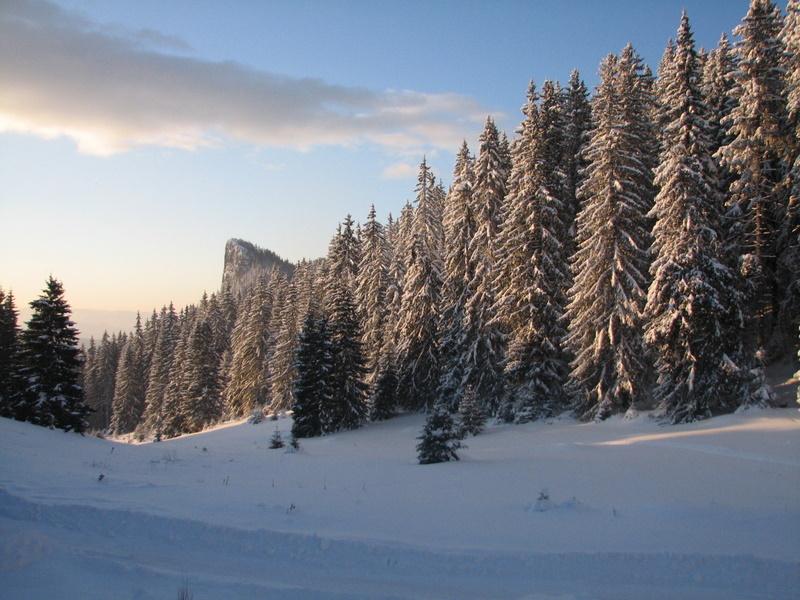 Вила Елица - Снимка 2