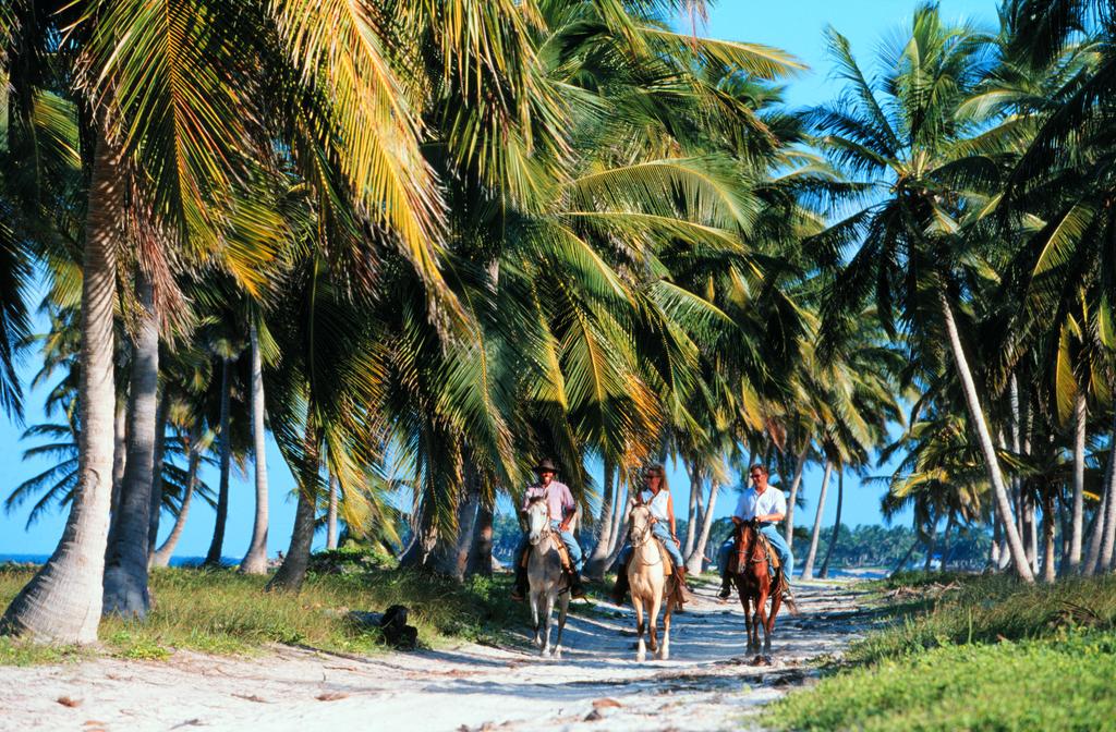 Почивка в Доминикана през Ноември и Декември! 9 дни, 7 нощувки All Inclusive в Natura Park Beach Eco Resort & SPA 5*! - Снимка 5