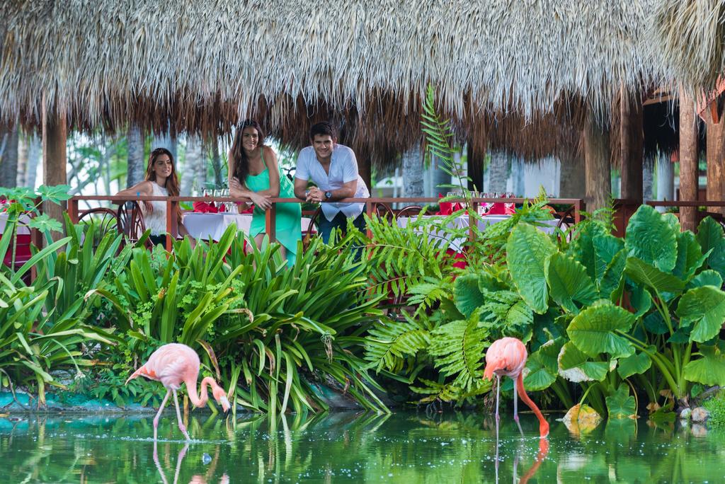 Почивка в Доминикана през Ноември и Декември! 9 дни, 7 нощувки All Inclusive в Natura Park Beach Eco Resort & SPA 5*! - Снимка 24