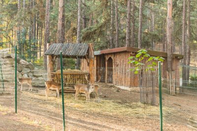 Комплекс Борова гора - Снимка 4