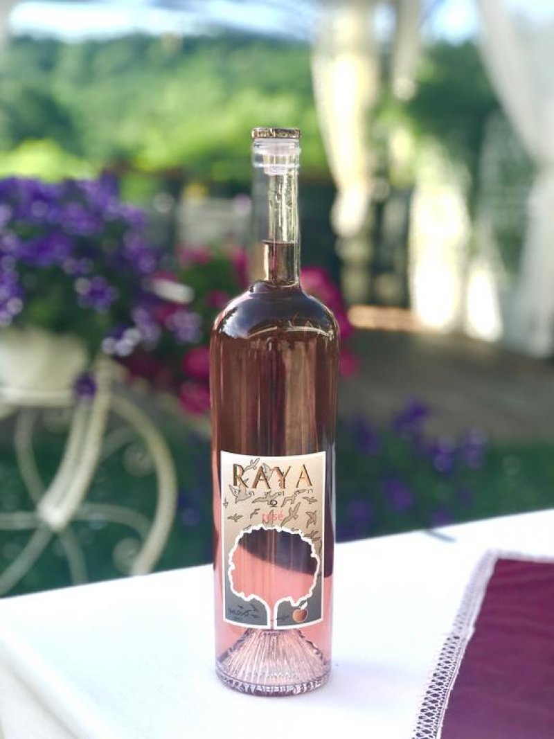 Хотел Света Гора  - Снимка 9