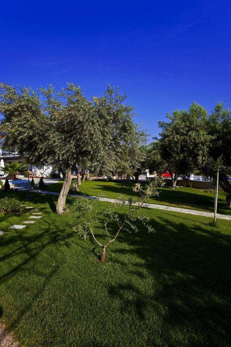 Flegra Palace - Снимка 8