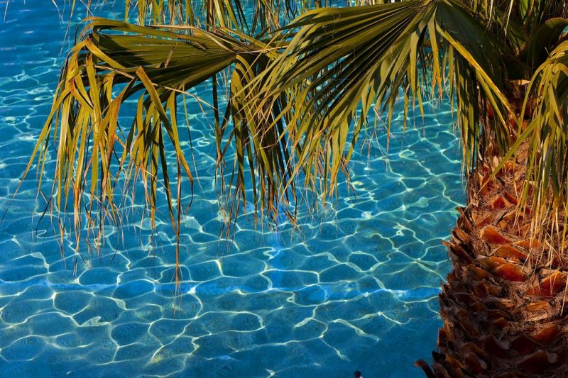 Flegra Palace - Снимка 4