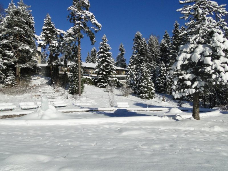 Хотел Сокол - Снимка 7