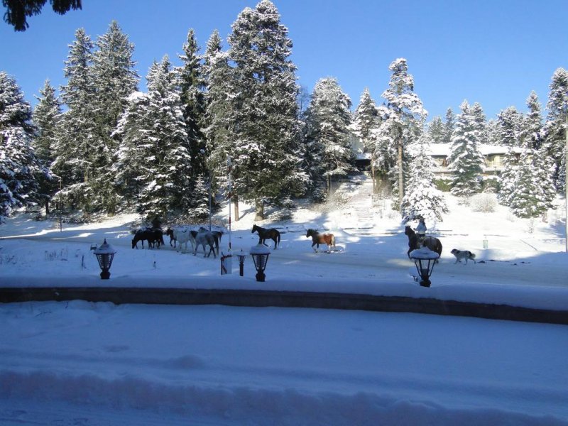 Хотел Сокол - Снимка 4