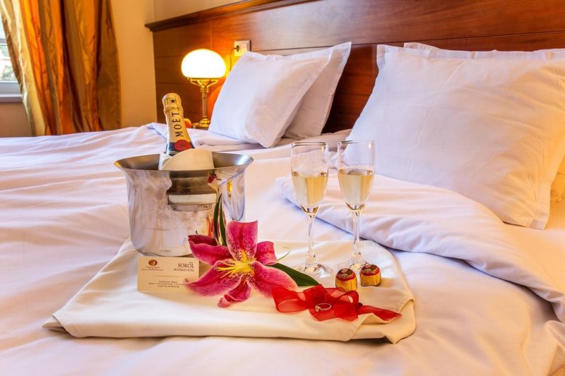 Хотел Сокол - Снимка 4