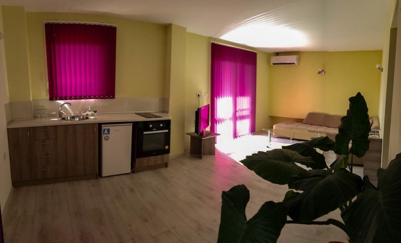 Къща за гости Биг Хаус Огняново  - Снимка 4