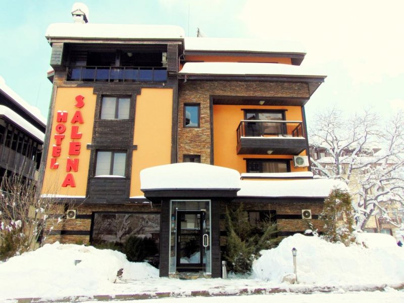 Хотел Бутик Салена - Снимка 8