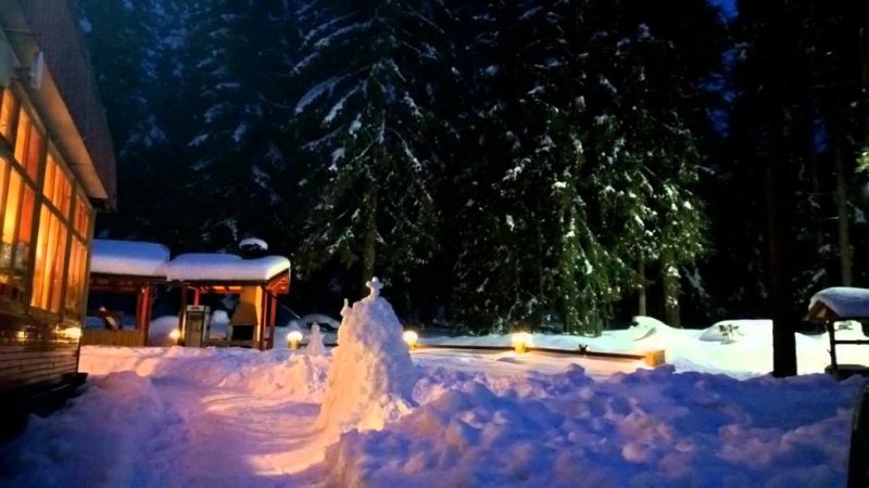 Вила Шишарка - Снимка 11