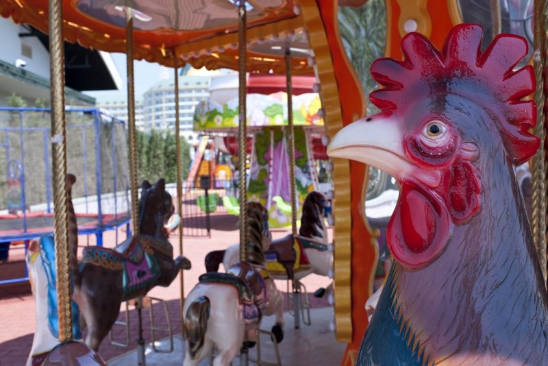 Delphin Imperial Lara - Снимка 9