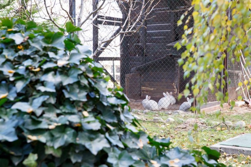 Хотел Сънрайз Парк и СПА - Снимка 5