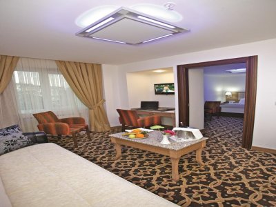 The City Hotel - Снимка 8