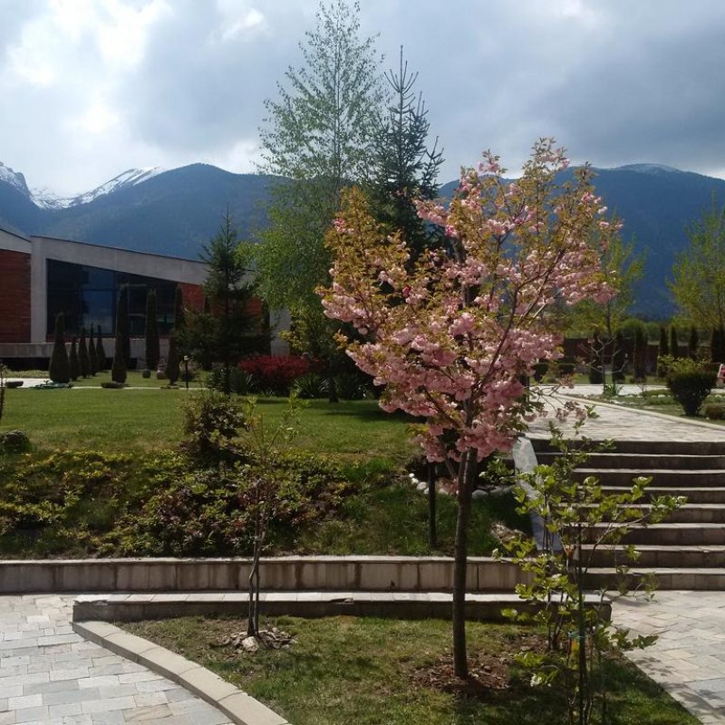 Пирин Резиденс Хотел - Снимка 4